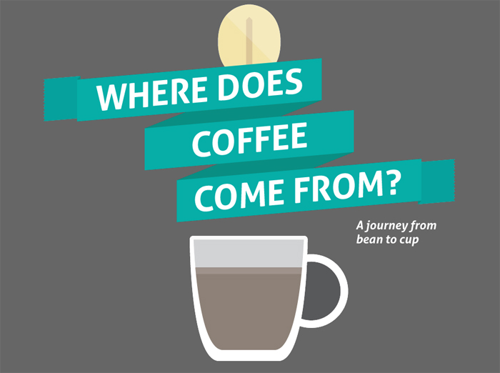 Where does coffee comes from infographic