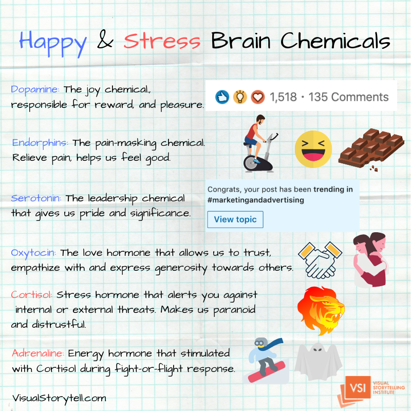 Brain Chemicals