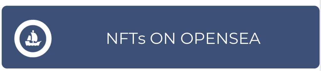 VSI's NFT Gallery