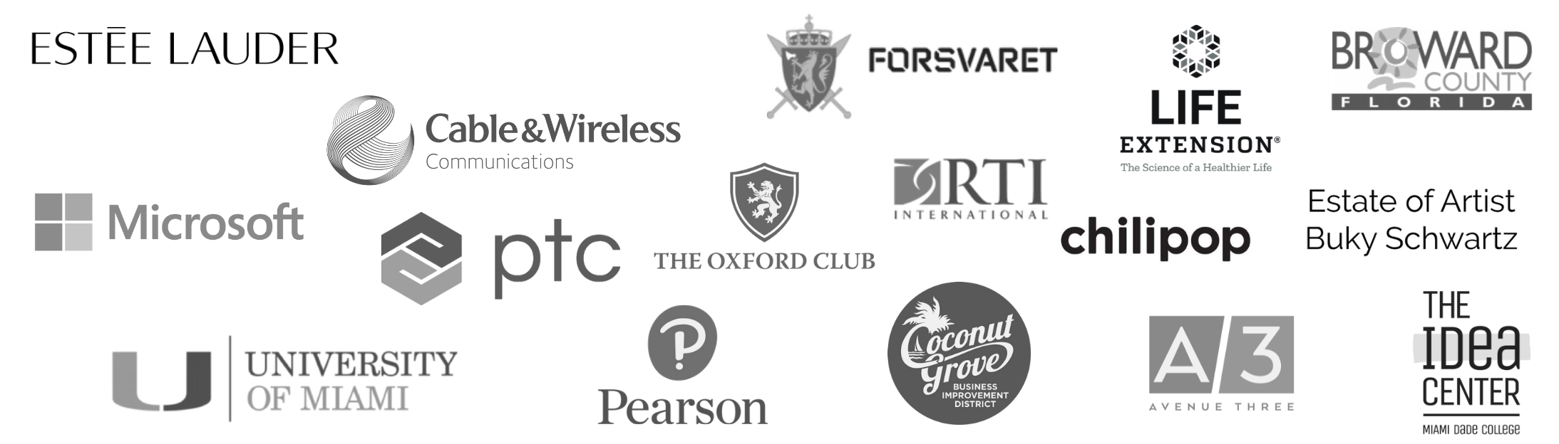 VSI's Client Logos