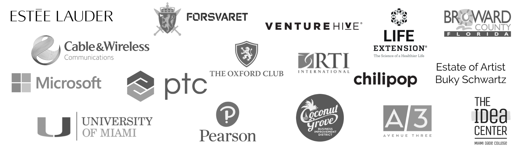 VSI's Client Logos