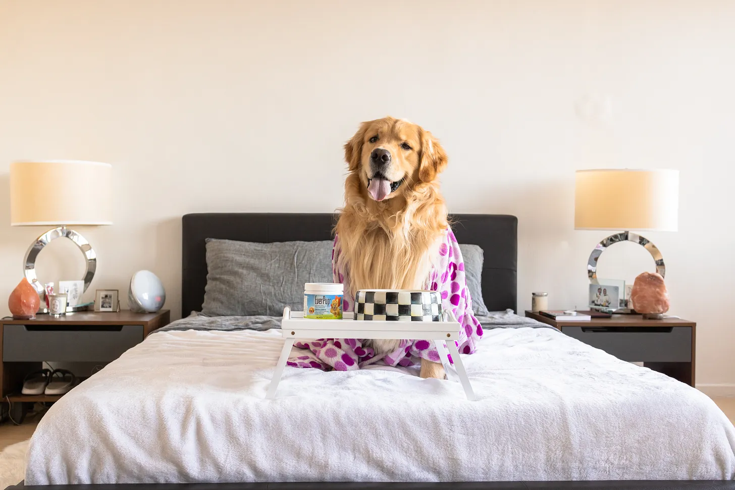 How Can Brands Use Pets In Visual Storytelling to Create Emotional Connections?